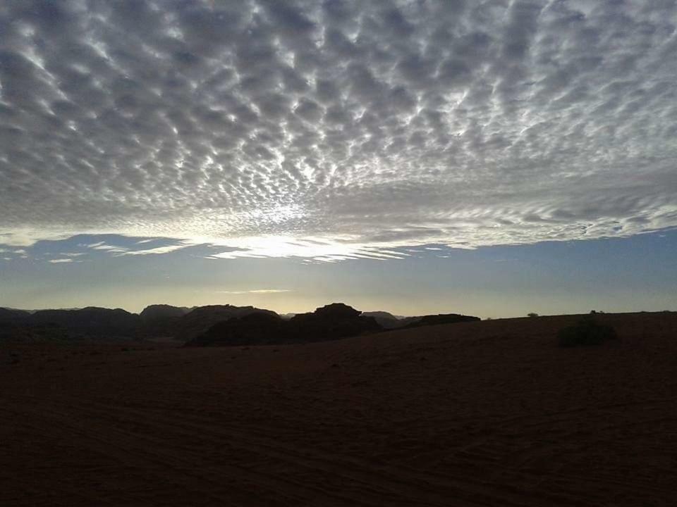 Wadi Rum Local Guide Camp ภายนอก รูปภาพ